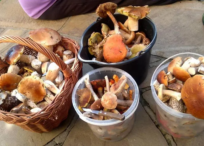 Pod Biegunem, Wioska Smerfow Oraz Wzgorze Gargamela בית נופש *